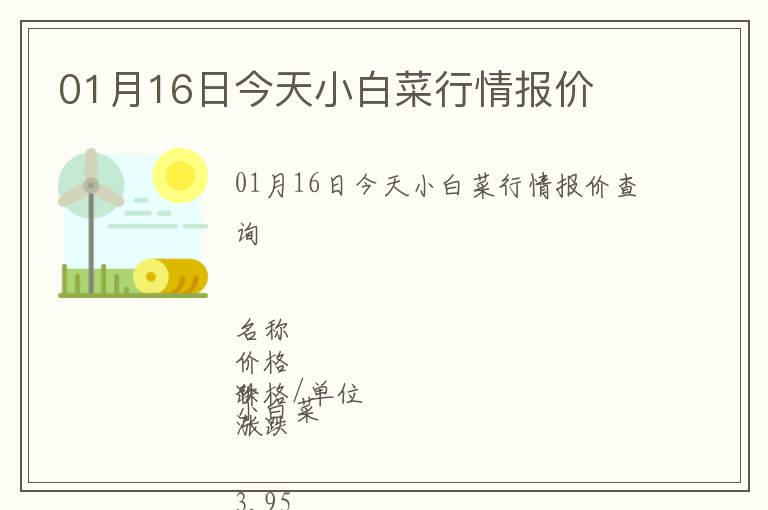 01月16日今天小白菜行情報價