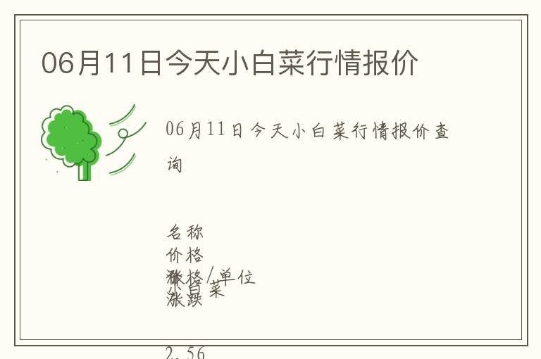 06月11日今天小白菜行情報價