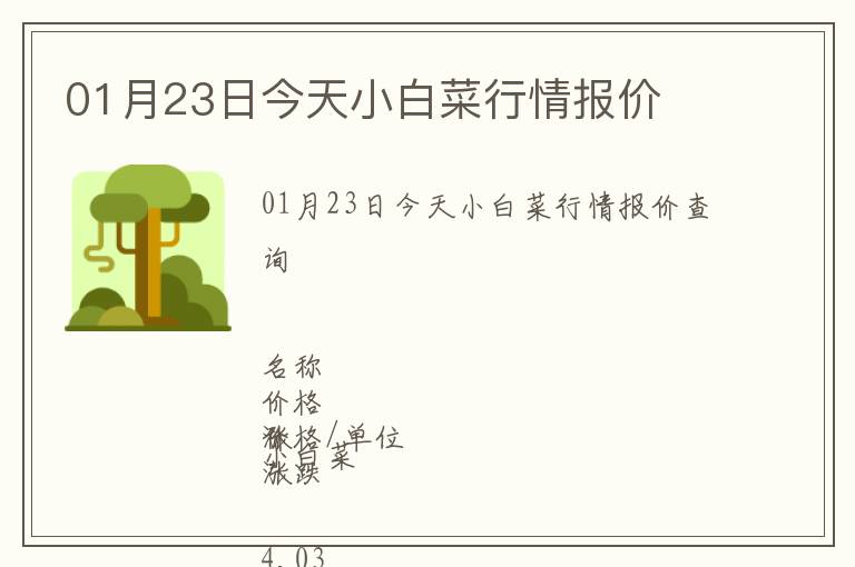 01月23日今天小白菜行情報(bào)價(jià)