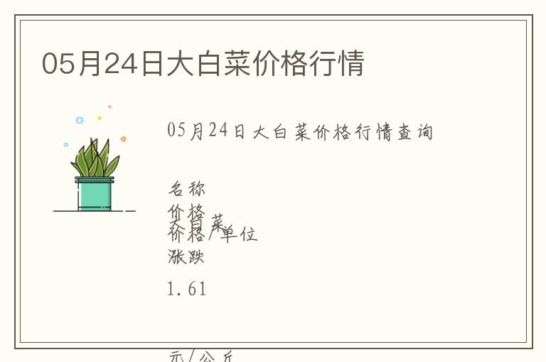 05月24日大白菜價格行情