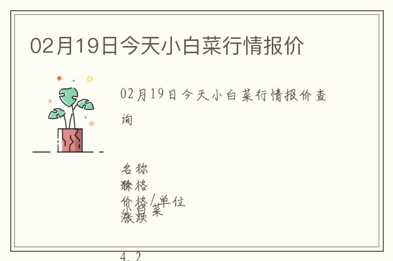 02月19日今天小白菜行情報價