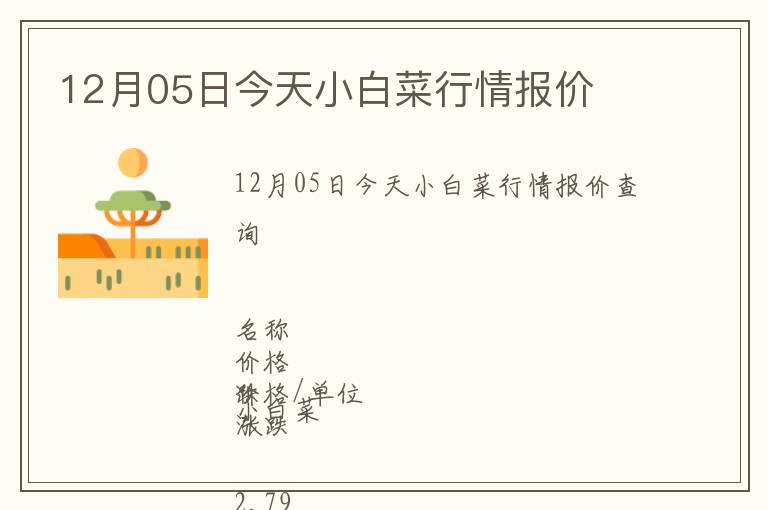 12月05日今天小白菜行情報(bào)價(jià)