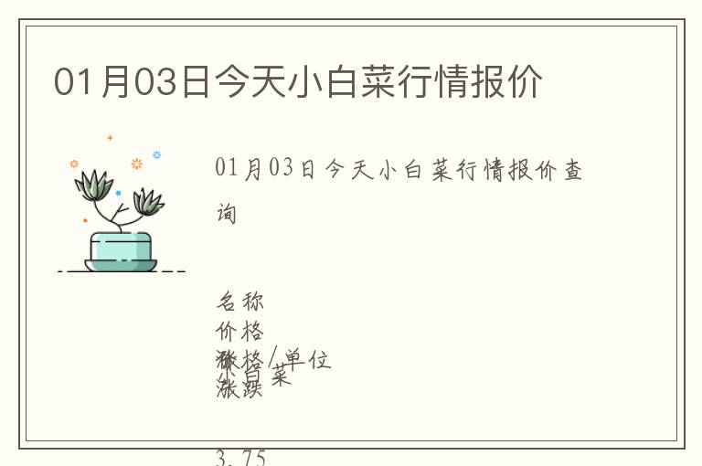 01月03日今天小白菜行情報價
