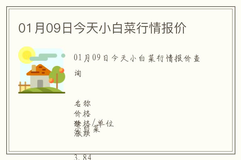 01月09日今天小白菜行情報價