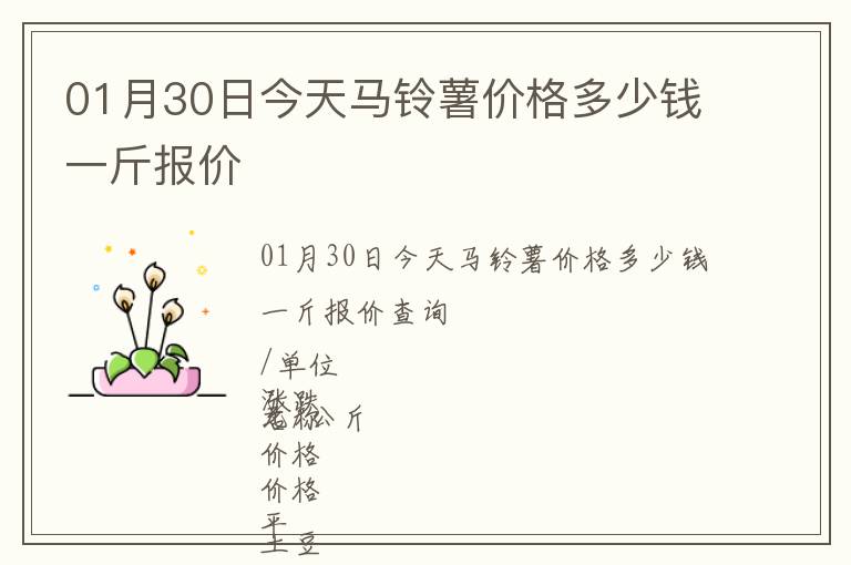 01月30日今天馬鈴薯價格多少錢一斤報價