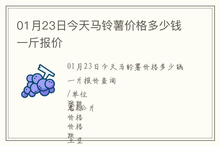 01月23日今天馬鈴薯價(jià)格多少錢一斤報(bào)價(jià)