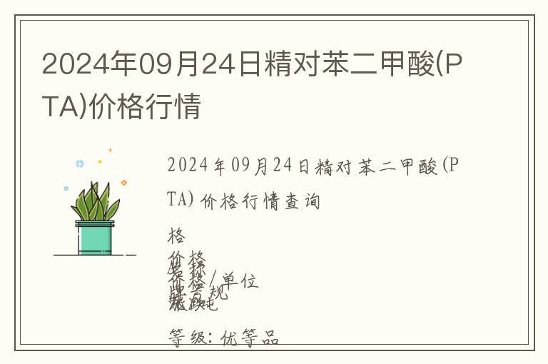 2024年09月24日精對苯二甲酸(PTA)價格行情
