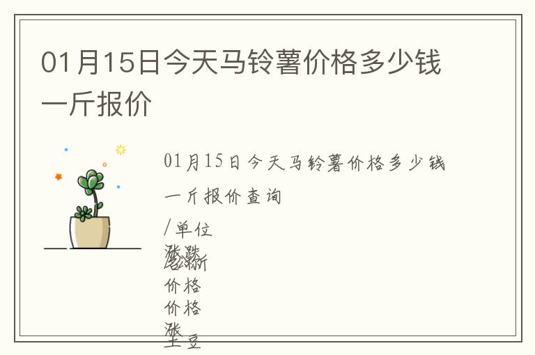 01月15日今天馬鈴薯價格多少錢一斤報價