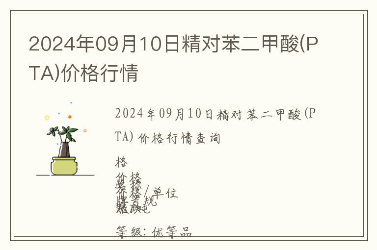 2024年09月10日精對苯二甲酸(PTA)價格行情