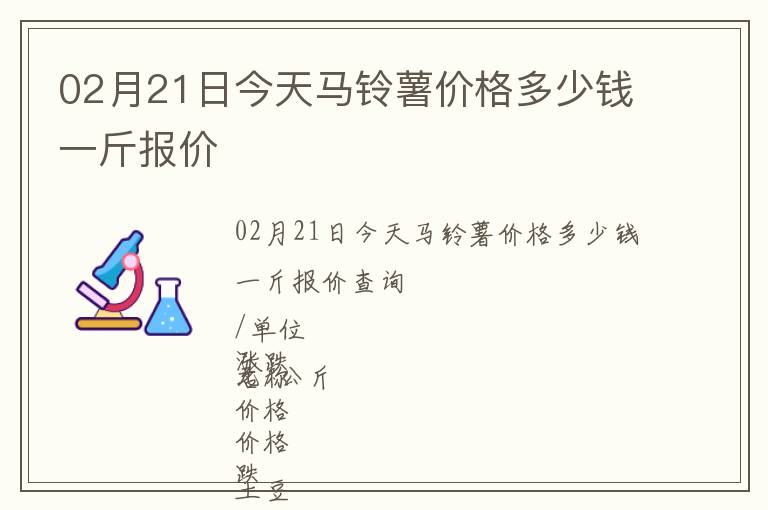 02月21日今天馬鈴薯價(jià)格多少錢(qián)一斤報(bào)價(jià)