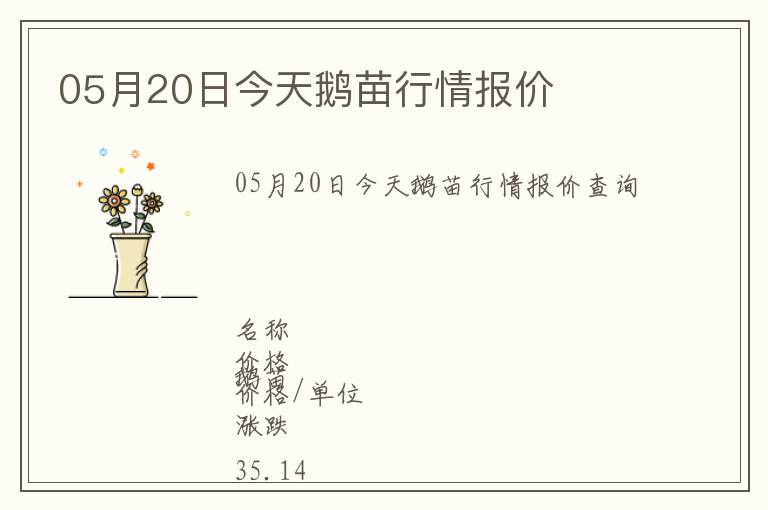 05月20日今天鵝苗行情報(bào)價(jià)