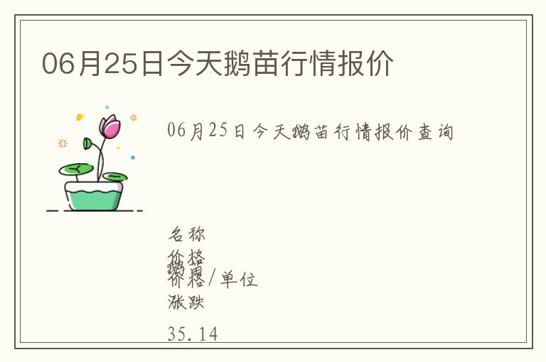 06月25日今天鵝苗行情報價