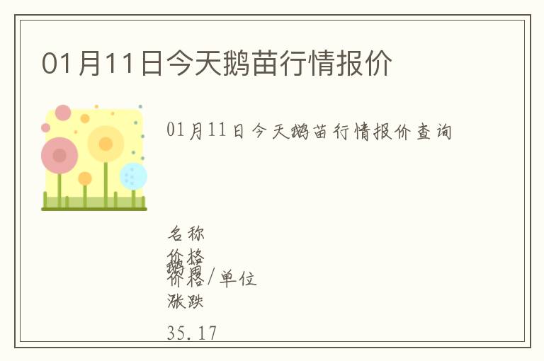 01月11日今天鵝苗行情報價