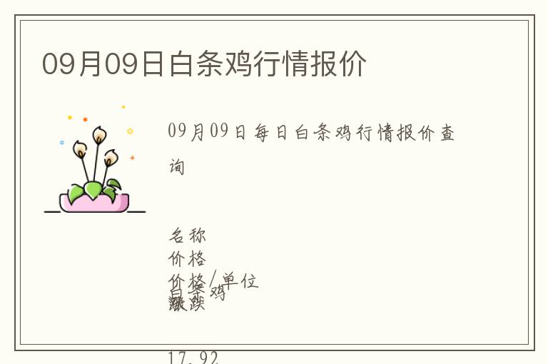 09月09日白條雞行情報價