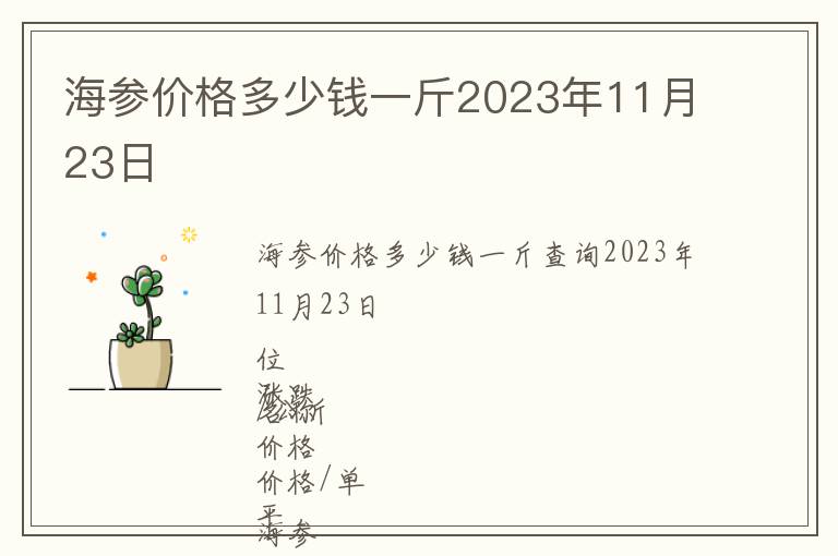 海參價(jià)格多少錢一斤2023年11月23日