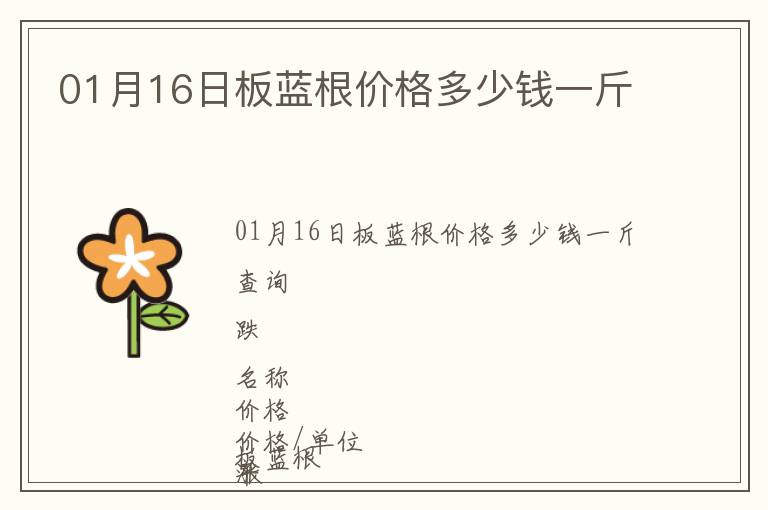 01月16日板藍(lán)根價(jià)格多少錢一斤