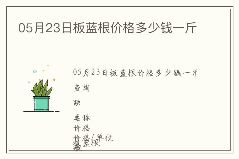 05月23日板藍(lán)根價格多少錢一斤