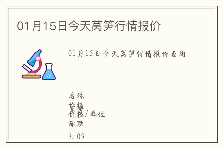 01月15日今天萵筍行情報價