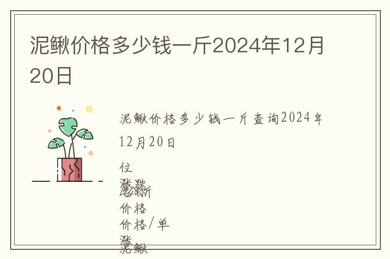 泥鰍價格多少錢一斤2024年12月20日