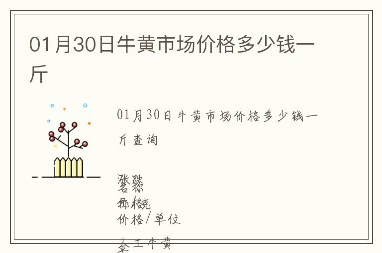 01月30日牛黃市場(chǎng)價(jià)格多少錢一斤