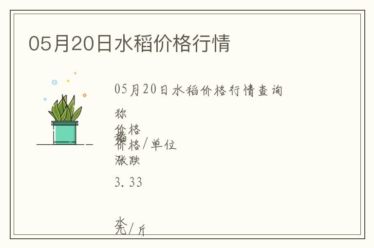 05月20日水稻價格行情