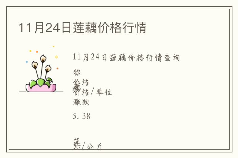 11月24日蓮藕價(jià)格行情