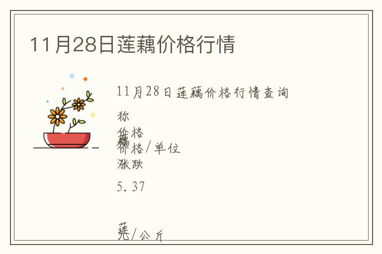 11月28日蓮藕價(jià)格行情