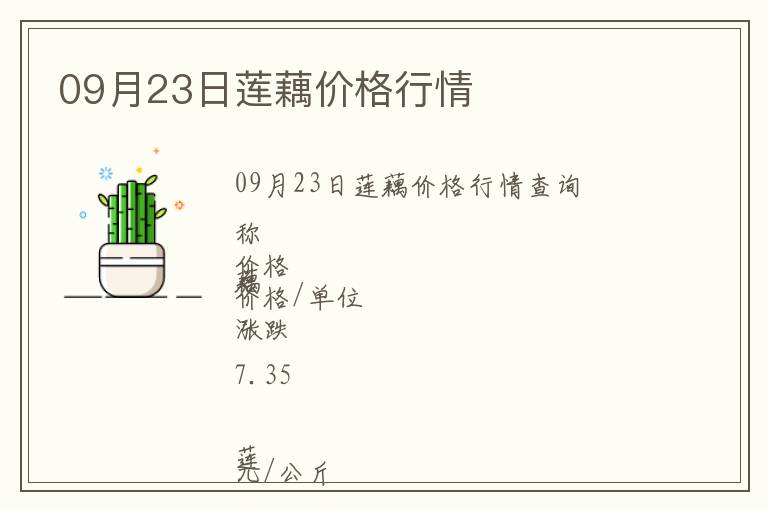 09月23日蓮藕價格行情