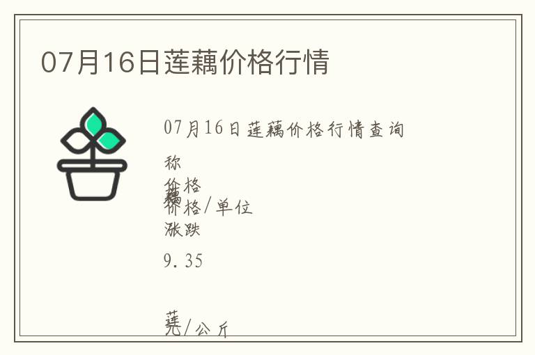 07月16日蓮藕價格行情