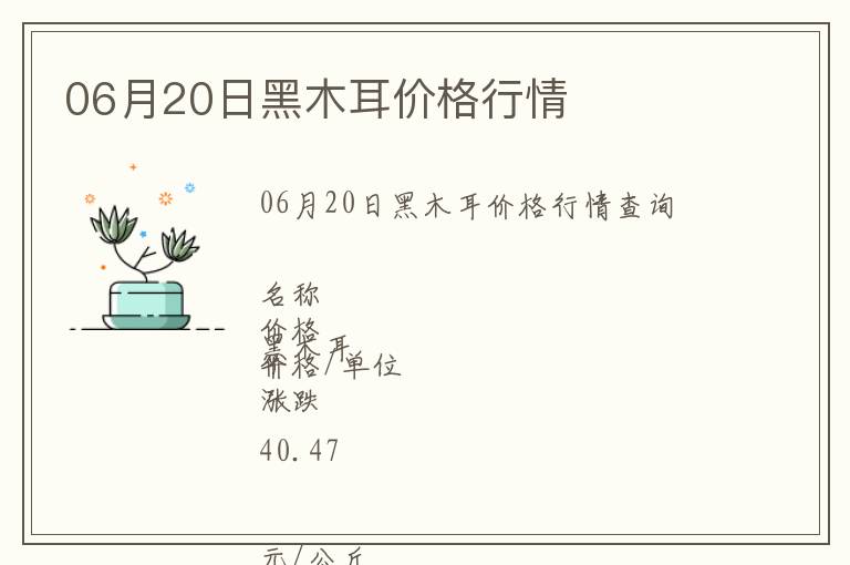 06月20日黑木耳價格行情