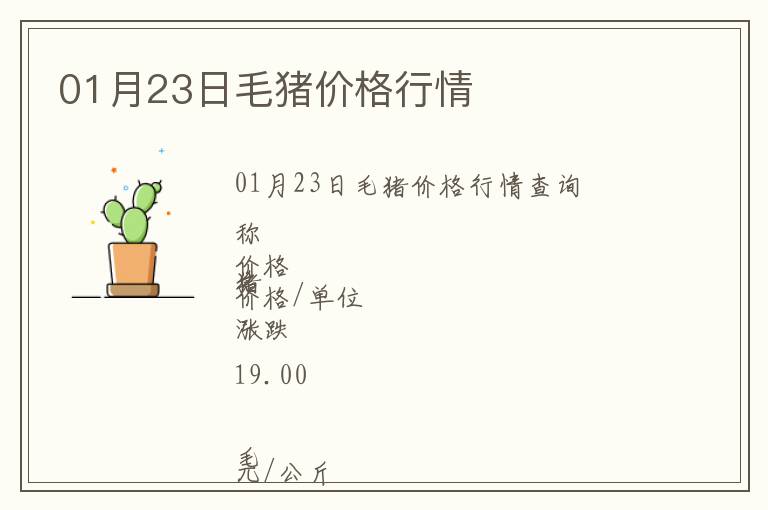 01月23日毛豬價格行情