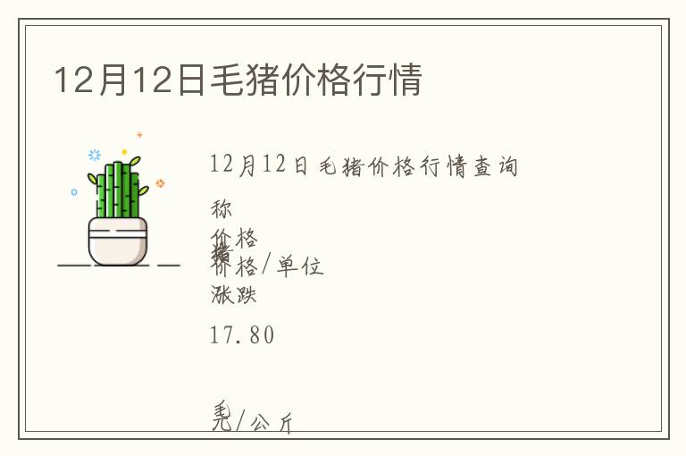12月12日毛豬價格行情
