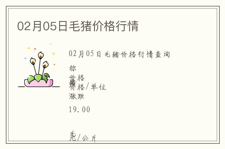 02月05日毛豬價格行情