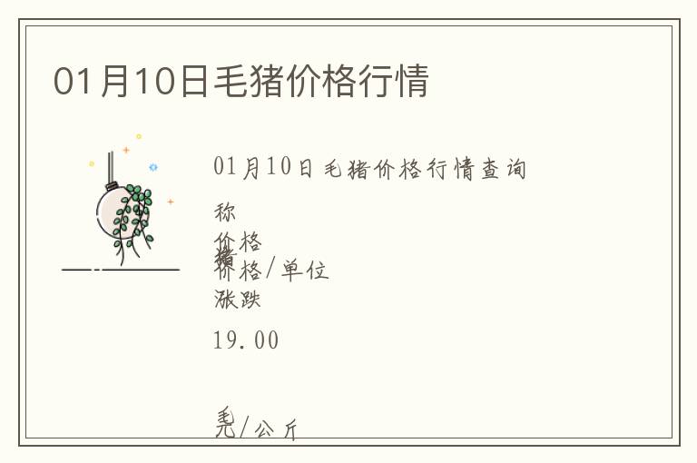 01月10日毛豬價(jià)格行情