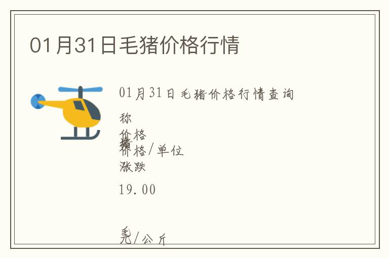 01月31日毛豬價格行情