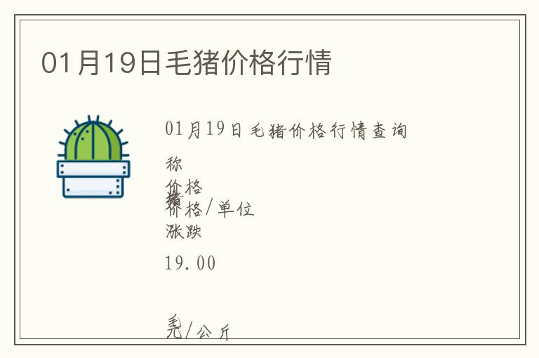 01月19日毛豬價格行情