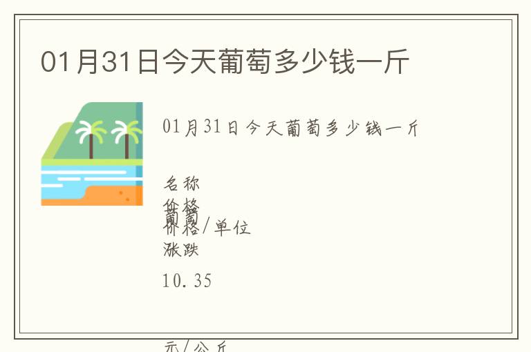 01月31日今天葡萄多少錢一斤