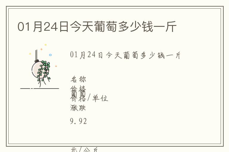 01月24日今天葡萄多少錢一斤