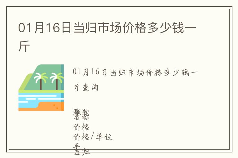 01月16日當歸市場價格多少錢一斤