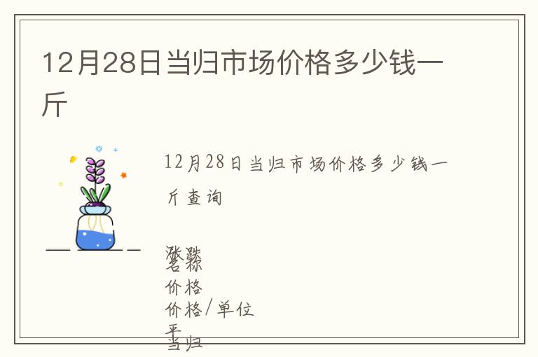 12月28日當(dāng)歸市場價格多少錢一斤