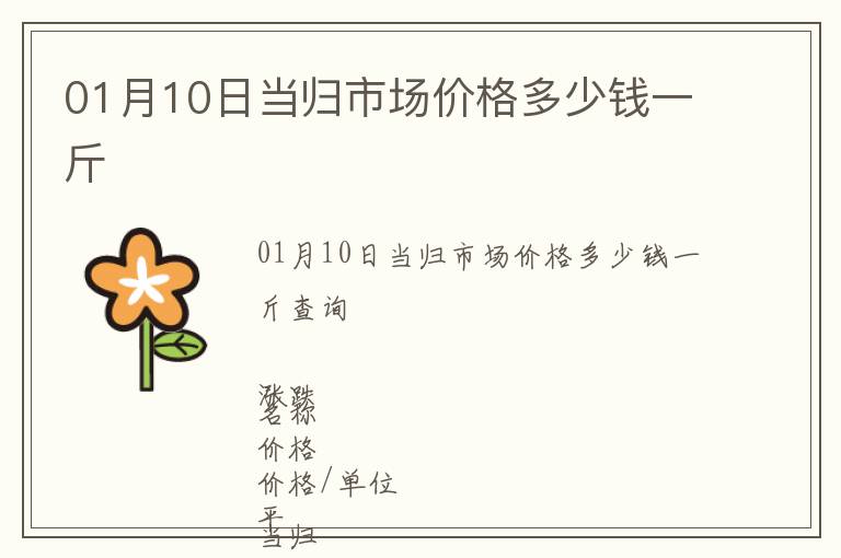 01月10日當歸市場價格多少錢一斤