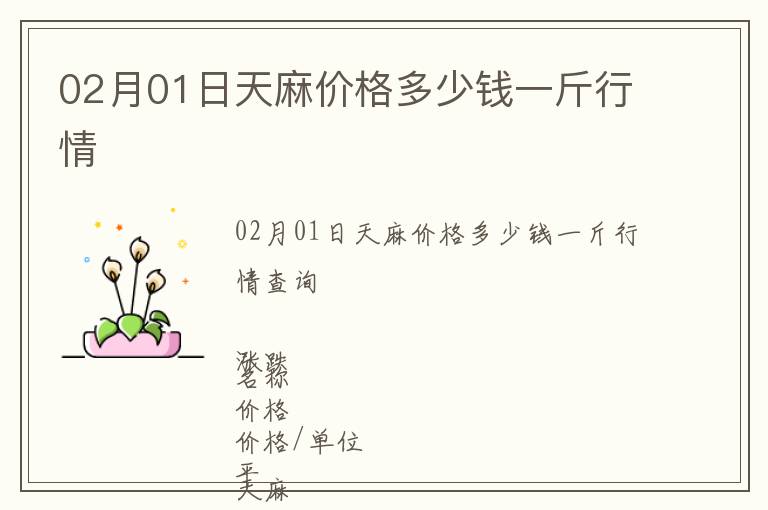 02月01日天麻價格多少錢一斤行情