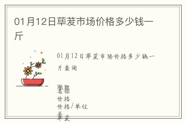 01月12日蓽茇市場(chǎng)價(jià)格多少錢一斤