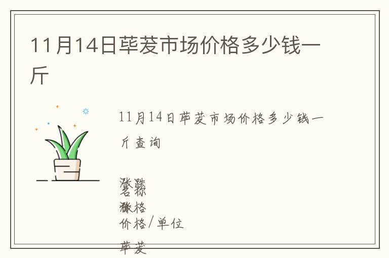 11月14日蓽茇市場(chǎng)價(jià)格多少錢一斤