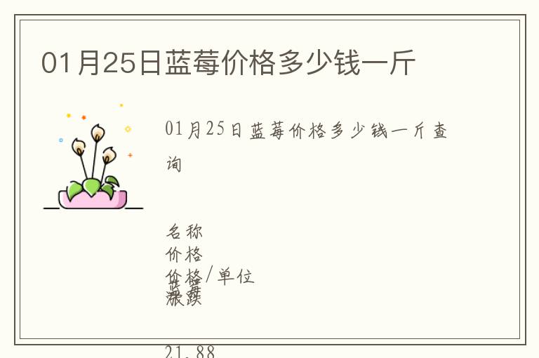 01月25日藍莓價格多少錢一斤