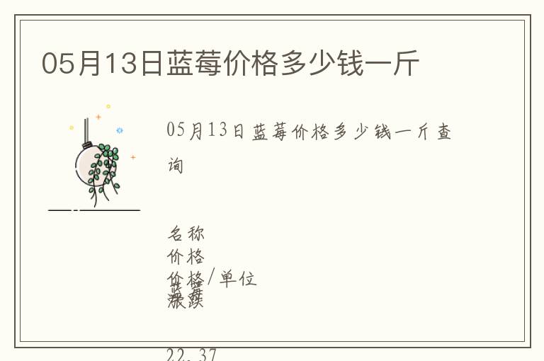 05月13日藍莓價格多少錢一斤