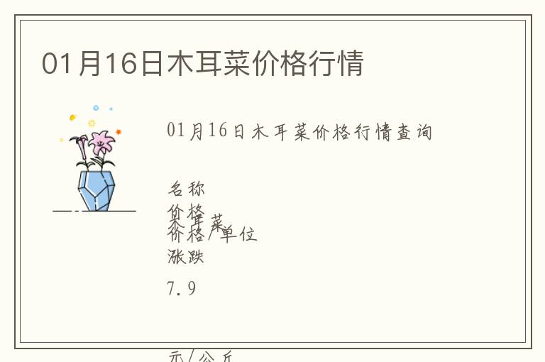 01月16日木耳菜價格行情