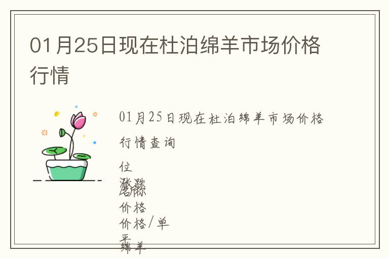 01月25日現(xiàn)在杜泊綿羊市場價格行情