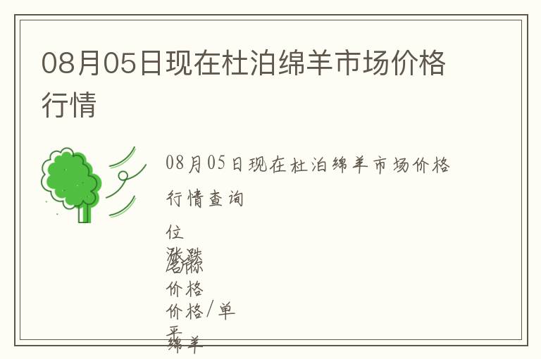 08月05日現在杜泊綿羊市場價格行情