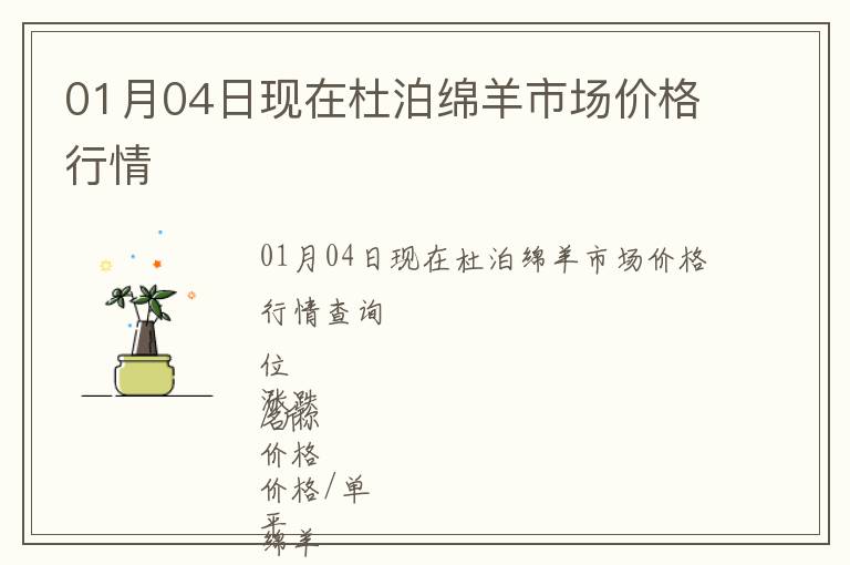 01月04日現在杜泊綿羊市場價格行情